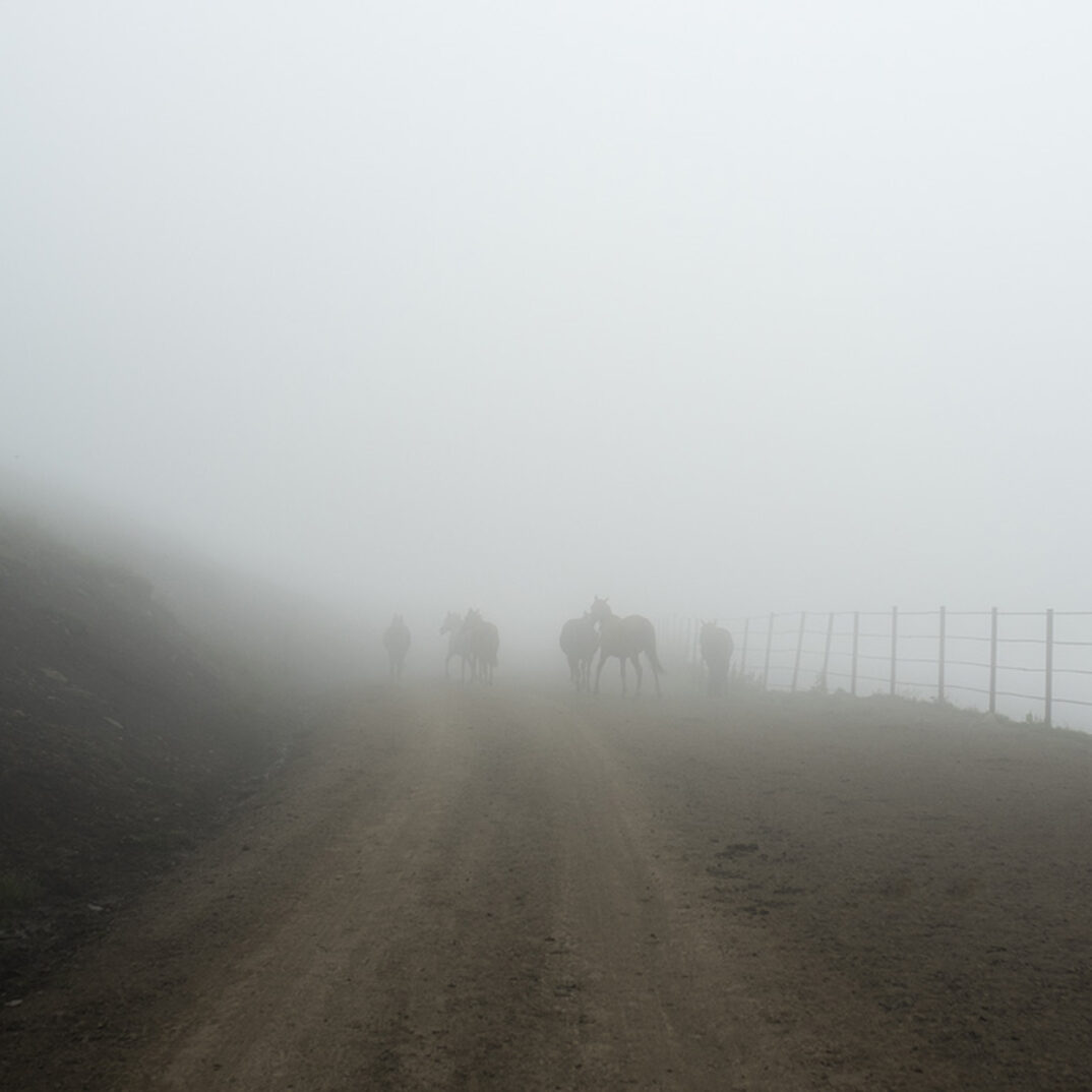 SP2-Chechnya_Fog in the mountains_2019_Silvia Pärmann_72dpi